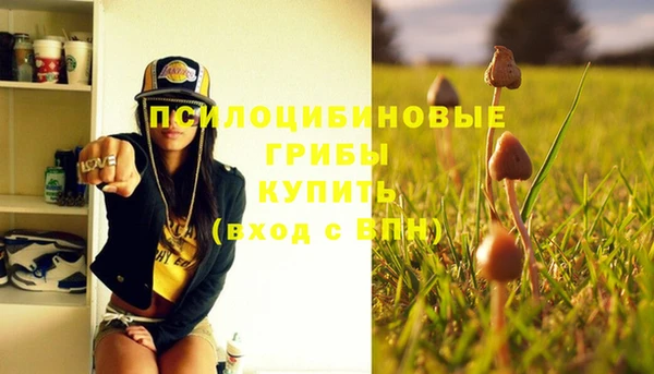 скорость Елизово