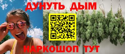 крисы Кандалакша