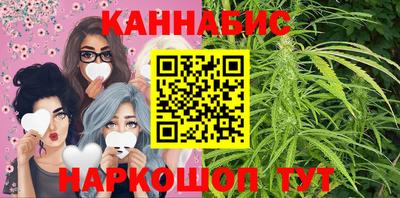крисы Кандалакша
