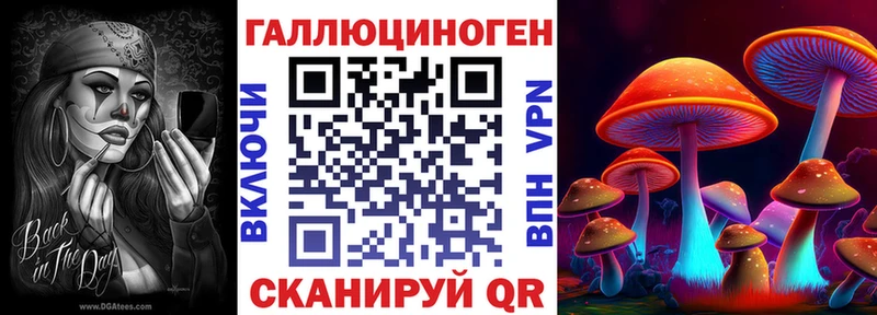 Псилоцибиновые грибы Psilocybine cubensis  Сердобск 