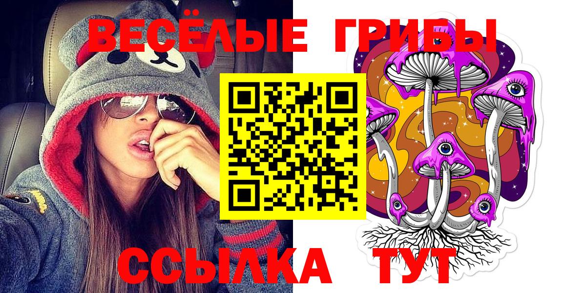 Псилоцибиновые грибы GOLDEN TEACHER Сердобск