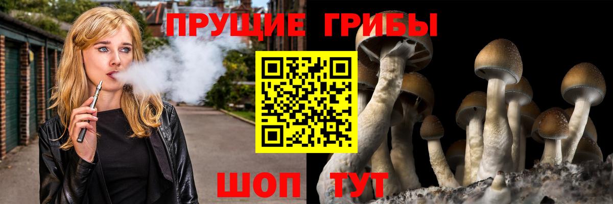 Галлюциногенные грибы Psilocybe  Псилоцибиновые грибы ЛСД  Сердобск 